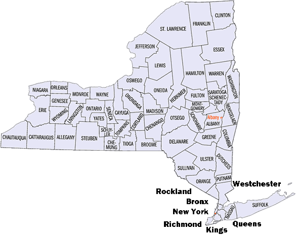 NY County Map